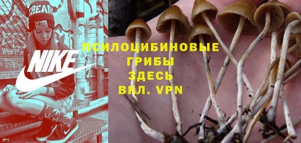 кристаллы Нея