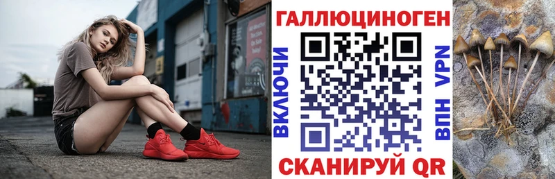 Псилоцибиновые грибы GOLDEN TEACHER  что такое наркотик  Аткарск 